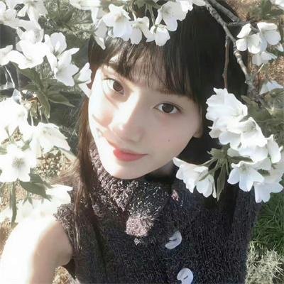 包青天书院诡事